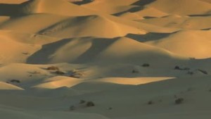 dunes-004-zoom-out-on-mounds-of-sand-dunes_nydus68b__S0000